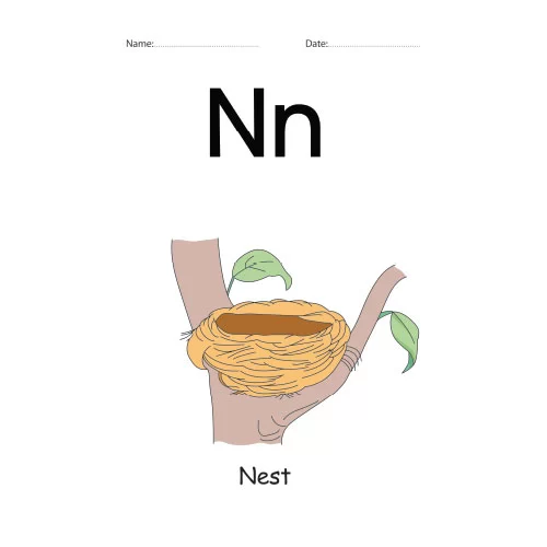 Letter N Identification colorful worksheet