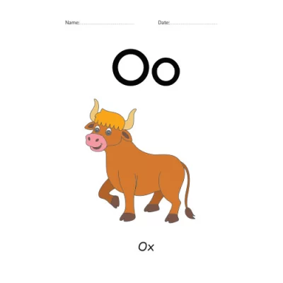 Letter O Identification colorful worksheet
