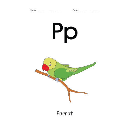 Letter P Identification colorful worksheet